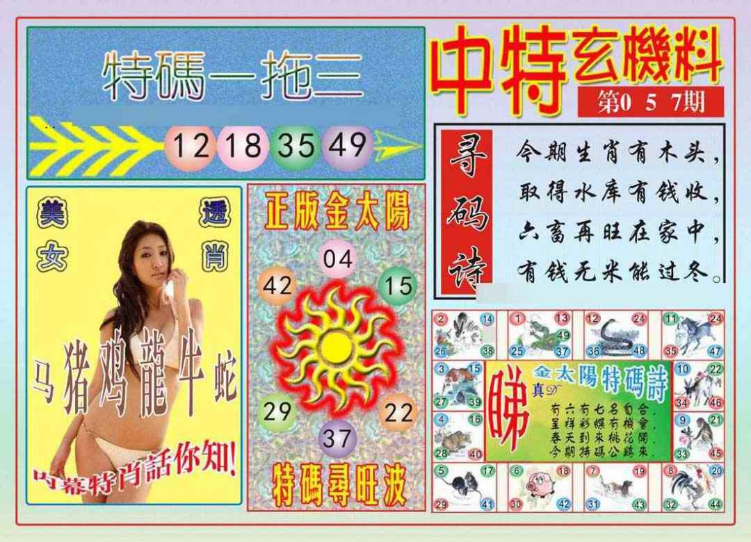中特玄机